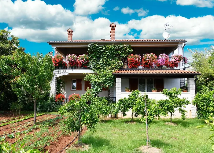 Slavica Vrvari 아파트 *